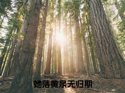 沈漾顾祈深小说(她落黄泉无归期)章节目录+起始篇章（沈漾顾祈深）全章无套路在线