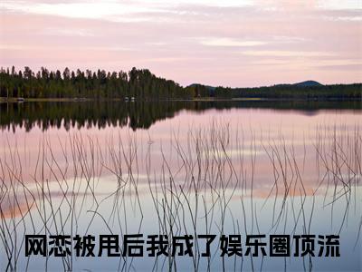 网恋被甩后我成了娱乐圈顶流小说(夏初梦顾析风)最近更新（网恋被甩后我成了娱乐圈顶流）整本无套路阅读