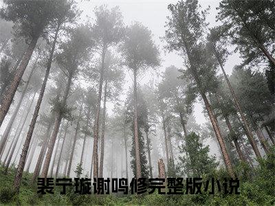 热文推荐裴宁璇谢鸣修小说（此番离去永相别）前传列表