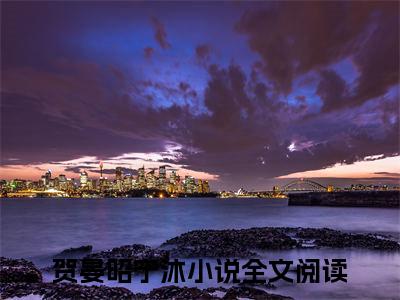 贺晏昭宁沐续集起点章节+全书阅读（若向往事借曾风）书荒必看