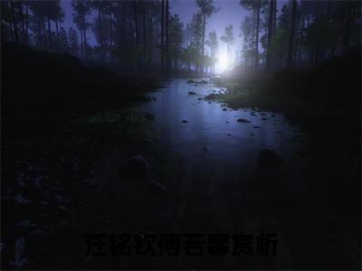 汪铭钦傅若馨完结篇全篇阅读无广告（重生八零京圈少爷跑路了）番外+续集