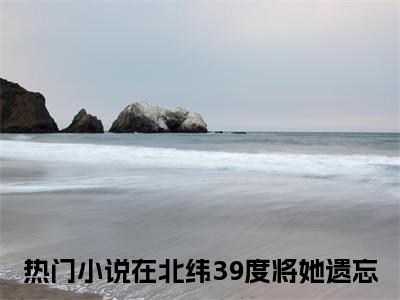 在北纬39度将她遗忘小说(徐玥涵赵逸安)（在北纬39度将她遗忘）全书+后续+结局在线阅读