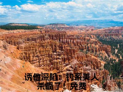 诱他深陷：钓系美人杀疯了！全篇完整在线阅读（裴烬姜晚）热门章节列表