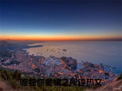 高分_唯独你是情之所钟小说(林清颜梁敬楠)（唯独你是情之所钟）全本完整阅读