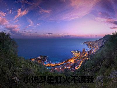 (梦里灯火不渡我：结局+番外)完整版(叶摘星许砚寒)全文免费阅读无弹窗大结局_梦里灯火不渡我：结局+番外最新章节列表_笔趣阁叶摘星许砚寒