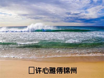 情深似海，奈何缘浅后续(许心雅傅锦州)（情深似海，奈何缘浅）整本畅享在线+无广告结局