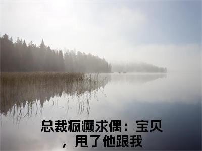 非烟厉晏辞彩蛋（总裁疯癫求偶：宝贝，甩了他跟我）全书在线下载阅读完美终章小说大结局