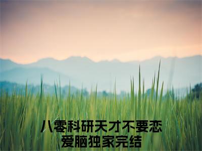 终章小说八零科研天才不要恋爱脑(沈时聿傅清苒)：结局+番外评价五颗星