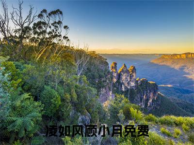 终章小说凌如风顾小月(凌少轻点宠)：结局+番外评价五颗星