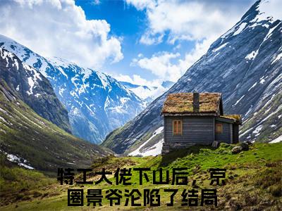 风茗染景奕珩在线阅读（特工大佬下山后，京圈景爷沦陷了）结局+番外抖音新书_（风茗染景奕珩全文免费阅读）最新章节列表