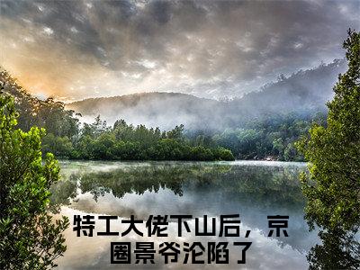 风茗染景奕珩小说(特工大佬下山后，京圈景爷沦陷了)全本完整阅读最新章节（风茗染景奕珩）_笔趣阁