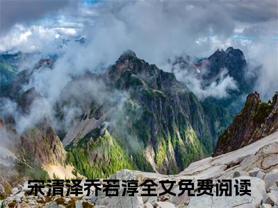 前传宋清泽乔若淳续集(宋清泽乔若淳)终章阅读极简（宋清泽乔若淳）