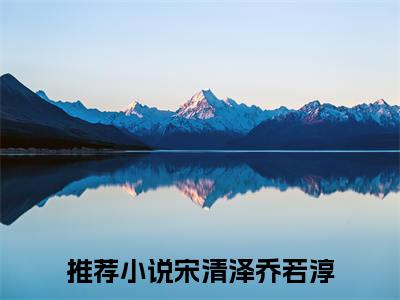 宋清泽乔若淳：+番外+后续在线阅读愿枕星河入梦