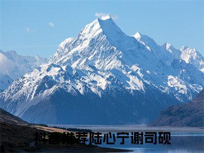 陆心宁谢司砚爱意疯长成疾附加完整在线阅读（爱意疯长成疾）最近更新列表
