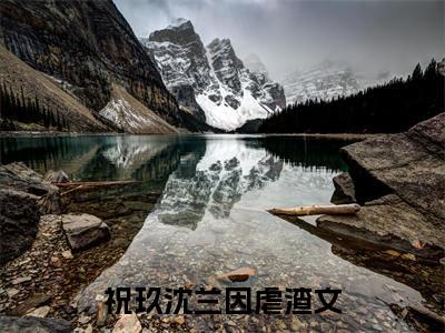祝玖沈兰因小说完本章节前文+全篇阅读（更换攻略对象后，清冷首辅黑化了）连载中
