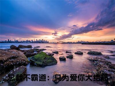 总裁不霸道：只为爱你结局+番外（欧阳昊柳絮）完结阅读无弹窗大结局_(总裁不霸道：只为爱你结局+番外)最新章节列表_笔趣阁（欧阳昊柳絮）