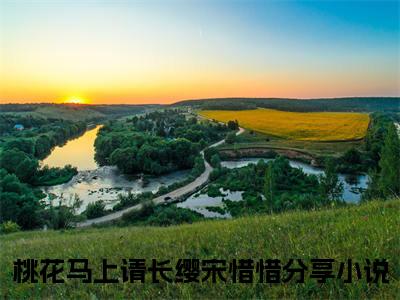 桃花马上请长缨宋惜惜（桃花马上请长缨宋惜惜）无广告免费阅读-小说桃花马上请长缨宋惜惜最后结局如何
