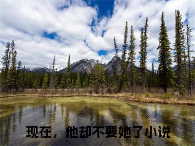 时新月沈俞寂(现在，他却不要她了)+前传（时新月沈俞寂）：结局+番外评价五颗星