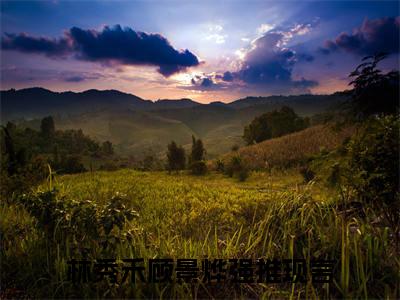 林秀禾顾景烨：结局+番外新上热文_笔趣阁（林秀禾顾景烨）林秀禾顾景烨：结局+番外评价五颗星