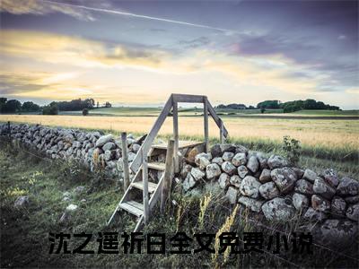 沈之遥祈白续集(流水落花春去也)全本完整免费版_起点章节+后续（沈之遥祈白）