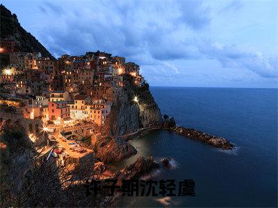 许子期沈轻虞番外+结局（梧桐半死，鸳鸯倦飞）小说在线阅读