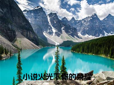 火光下你的荣耀（鹿聆陆明晏）全文在线阅读无弹窗大结局_鹿聆陆明晏全文无弹窗最新章节列表