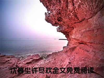 (番外)+(结局)沈暮尘许尽欢：结局+番外(许尽欢沈暮尘)全文免费阅读无弹窗大结局_(沈暮尘许尽欢：结局+番外)最新章节列表_笔趣阁(许尽欢沈暮尘)