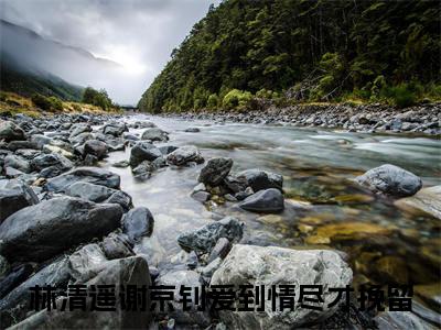 林清遥谢京钊（爱到情尽才挽留）小说免费下载全本-林清遥谢京钊（爱到情尽才挽留完整版）免费阅读