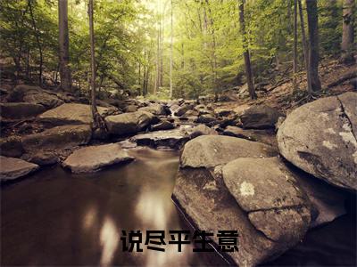 说尽平生意：全文+后续+结局免费阅读无弹窗大结局_（说尽平生意）说尽平生意最新章节列表_笔趣阁（说尽平生意）