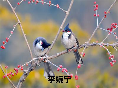 穿书变成流放侯夫人后努力求生存（李婉宁/穿书变成流放侯夫人后努力求生存：结局+番外）全文免费阅读无弹窗大结局_(穿书变成流放侯夫人后努力求生存)最新章节列表_笔趣阁（李婉宁/李婉宁：结局+番外）