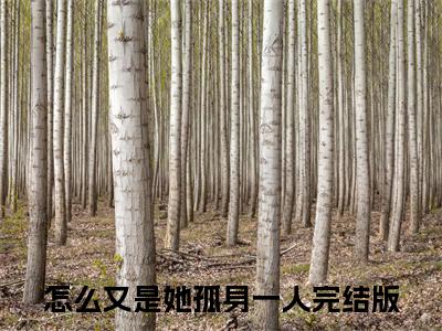 小说夏藤陆辰逸在线阅读-正版小说《怎么又是她孤身一人》夏藤陆辰逸全文阅读
