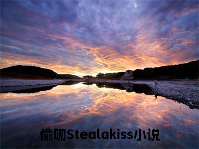 （沈念翟京墨）沈念翟京墨小说(偷吻Stealakiss)整书在线无广告高口碑小说