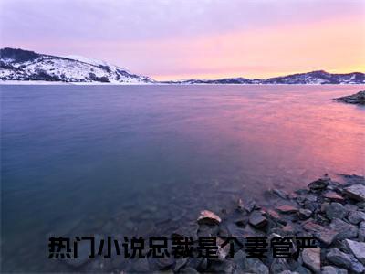 （总裁是个妻管严）言诺诺陆战擎全文免费阅读无弹窗大结局_言诺诺陆战擎全文免费完结版阅读（总裁是个妻管严）