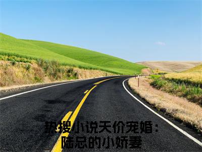 顾小艺陆穆深天价宠婚：陆总的小娇妻后续(顾小艺陆穆深)（天价宠婚：陆总的小娇妻）完整章节列表_笔趣阁