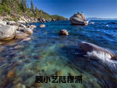 完结文顾小艺陆穆深前文最新章节列表_完结文顾小艺陆穆深前文全文免费阅读（天价宠婚：陆总的小娇妻）
