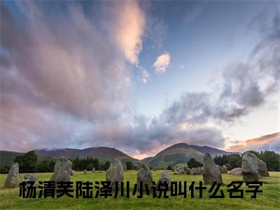 （重生七零她高考逆袭改命）杨清芙陆泽川全文免费阅读无弹窗大结局_重生七零她高考逆袭改命（杨清芙陆泽川）小说结局免费阅读