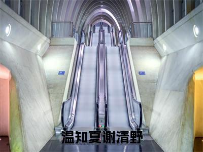 此后余生皆孤寂温知夏谢清野小说无删减阅读无干扰（温知夏谢清野）番外+续集