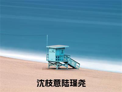 陆瑾尧沈枝意（沈枝意陆瑾尧）全文免费阅读无弹窗大结局_（陆瑾尧沈枝意）沈枝意陆瑾尧免费阅读无弹窗最新章节列表