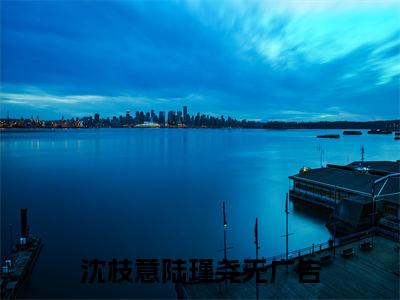 (番外)+(结局)沈枝意陆瑾尧（沈枝意陆瑾尧：结局+后续）全文免费阅读无弹窗大结局_(沈枝意陆瑾尧)最新章节列表_笔趣阁（沈枝意陆瑾尧：结局+后续）
