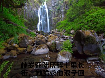 十里长街，她跪求他浪子回头林岁窈陆厌辞小说无删减阅读清爽版（林岁窈陆厌辞）外篇+续集