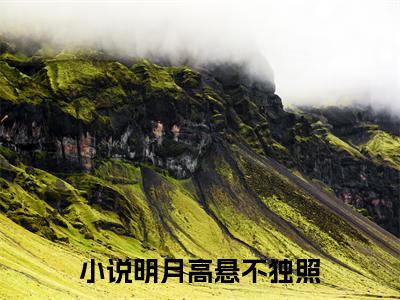 明月高悬不独照：结局+番外(菊夏月裴野)全文免费阅读无弹窗大结局_(明月高悬不独照：结局+番外)最新章节列表_笔趣阁(菊夏月裴野)