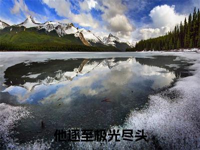 （林清欢江溢衡：他逐至极光尽头）全文免费阅读已完结无弹窗（他逐至极光尽头林清欢江溢衡：结局+番外）最新章节列表_笔趣阁