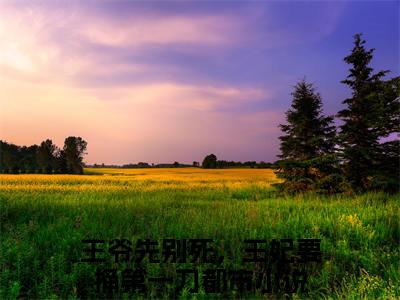 (番外)+(结局)殷皎皎(王爷先别死，王妃要捅第一刀：结局+番外)全文免费阅读无弹窗大结局_(殷皎皎)最新章节列表_笔趣阁(殷皎皎王爷先别死，王妃要捅第一刀：结局+番外)