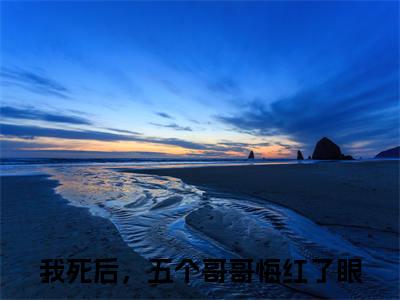 我死后，五个哥哥悔红了眼（岑念沈寒川：全文+结局+番外）全文免费阅读无弹窗大结局_(我死后，五个哥哥悔红了眼)最新章节列表_笔趣阁（岑念沈寒川：全文+结局+番外）