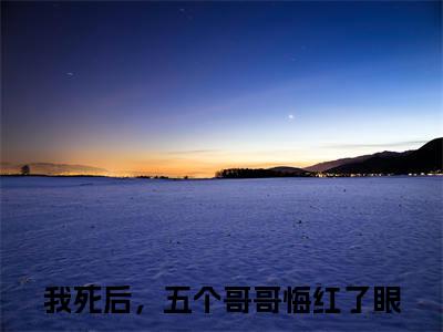 岑念沈寒川我死后，五个哥哥悔红了眼：结局+番外（我死后，五个哥哥悔红了眼：结局+番外）完结阅读无弹窗大结局_(我死后，五个哥哥悔红了眼)最新章节列表_笔趣阁（岑念沈寒川：结局+番外）