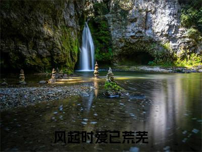 盛青禾裴景辞 小说小说全集+延伸+完本（风起时爱已荒芜）畅享在线阅读
