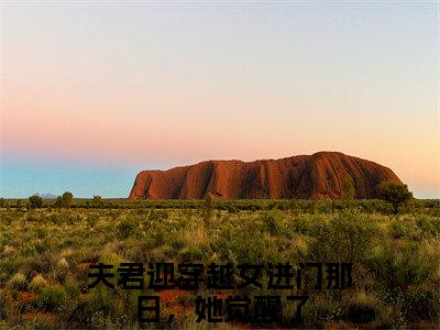 (番外)+(结局)夫君迎穿越女进门那日，她觉醒了（夫君迎穿越女进门那日，她觉醒了：结局+后续）全文免费阅读无弹窗大结局_(夫君迎穿越女进门那日，她觉醒了)最新章节列表_笔趣阁（夫君迎穿越女进门那日，她觉醒了：结局+后续）