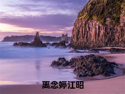 离念婷江昭（爱落尘埃，心死成灰）全文免费阅读_离念婷江昭（爱落尘埃，心死成灰在线小说免费阅读）