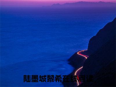 甜婚蜜爱：总裁宠妻羞羞哒：+后续人物讨喜无套路全集陆墨城黎希