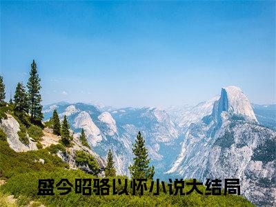 盛今昭骆以怀全本资源（掌心疤）全文免费阅读无弹窗大结局_掌心疤最新章节列表（盛今昭骆以怀）